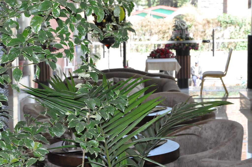 Addissinia Hotel Luaran gambar
